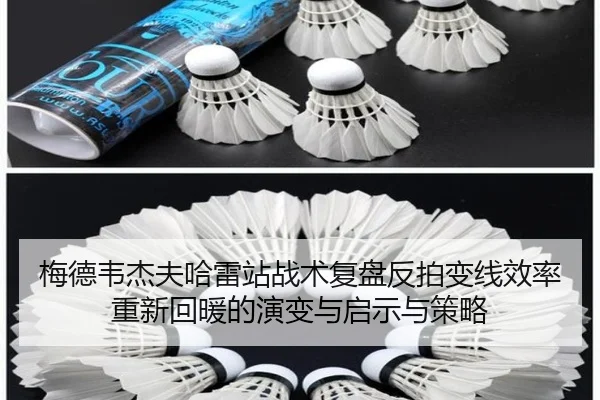 mei-de-wei-jie-fu-ha-lei-zhan-zhan-shu-fu-pan-fan-pai-bian-xian-xiao-lv-chong-xin-hui-nuan-de-yan-bian-yu-qi-shi-yu-ce-2-697.jpg